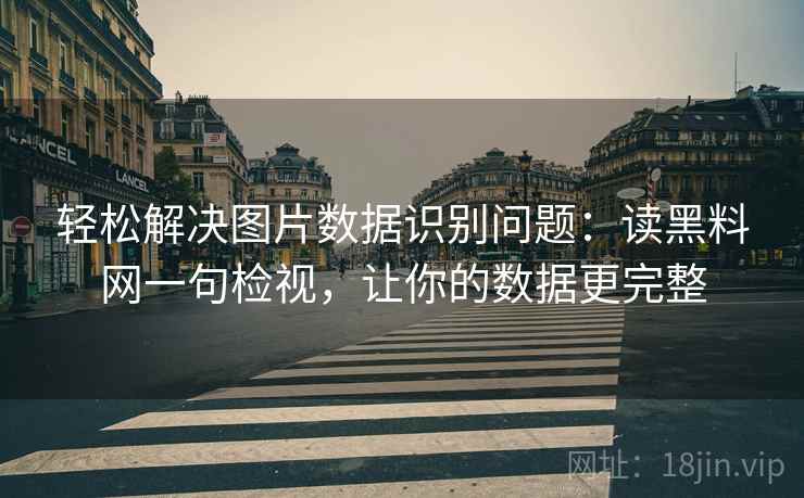 轻松解决图片数据识别问题：读黑料网一句检视，让你的数据更完整